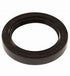 125351 SEAL, OIL by CAT PUMPS (3924)