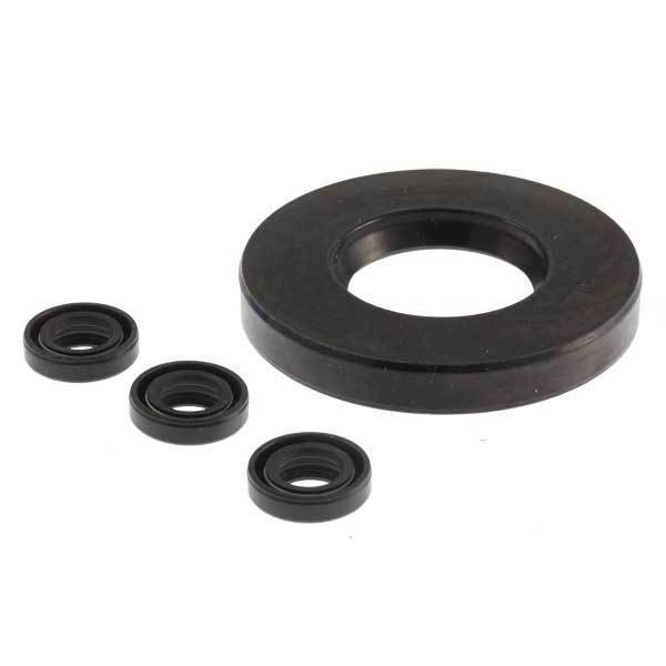 AR PUMP KIT 2236 OIL SEALS RMV & RMW (3608)