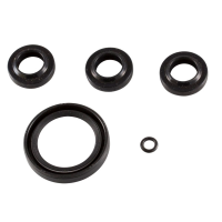 KIT 2591 by AR PUMP OIL SEALS XJV (1400)