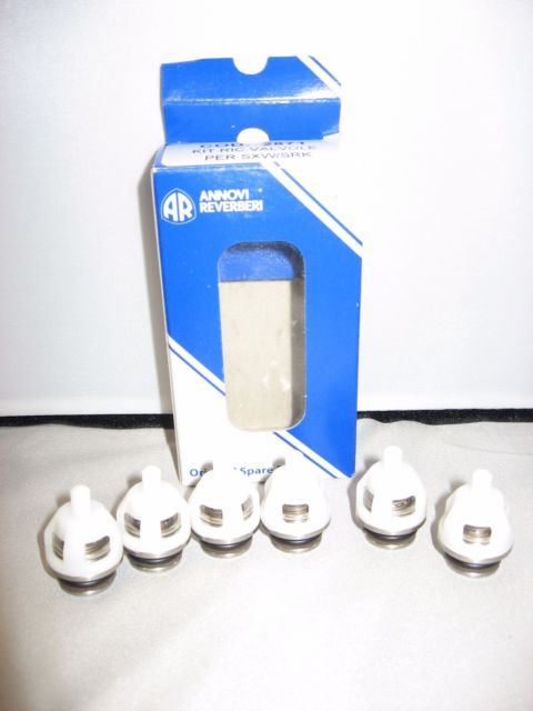 KIT 2871 CHECK VALVES SXW by AR PUMPS (6475)