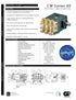 CW1012 PUMP by GENERAL PUMP (4537)